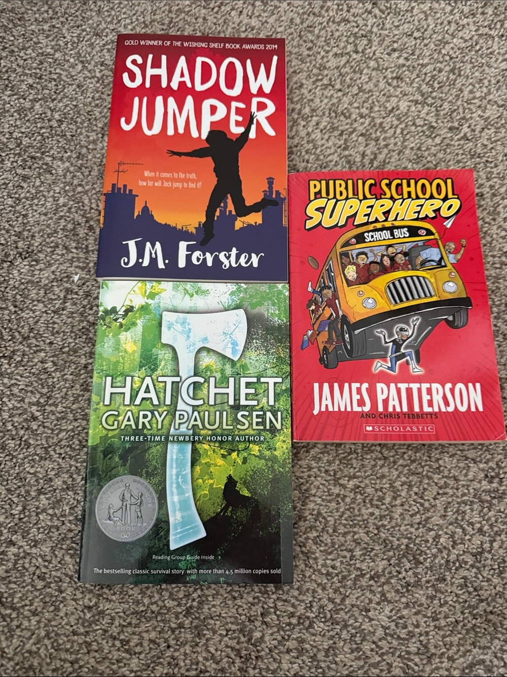 Shadow jumper, the hatchet, public school super hero books